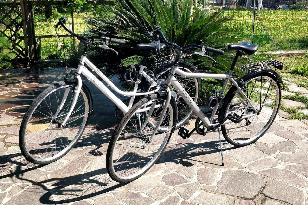 36 Cattolica Daire Dış mekan fotoğraf